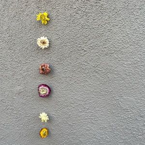 Dried Flower Garland